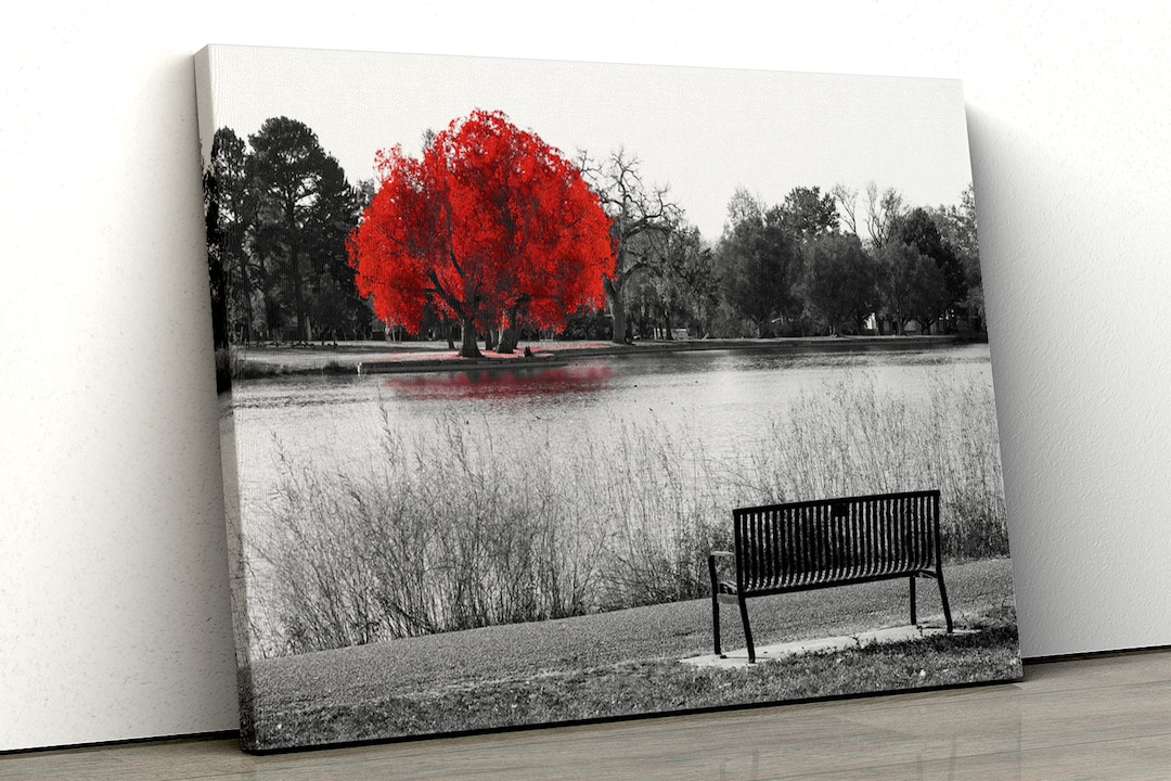 Large Red Tree Black White Home Decor Nature Framed Canvas Print Wall