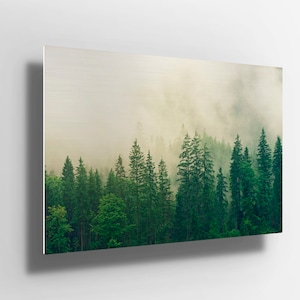 Spring forest trees with fog Scene Nature Metal Aluminium Print Wall Art | Poster | canvas | painting Decor | gift m131