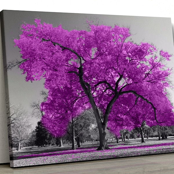 Large Purple tree set in a black and white park Home Decor Nature Framed Canvas Print Wall Art pp368