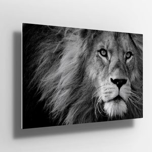 Large Lion black and white Metal Aluminium Print Wall Art | Lion Poster | Lion Head | lion canvas | lion king Decor | gift m119