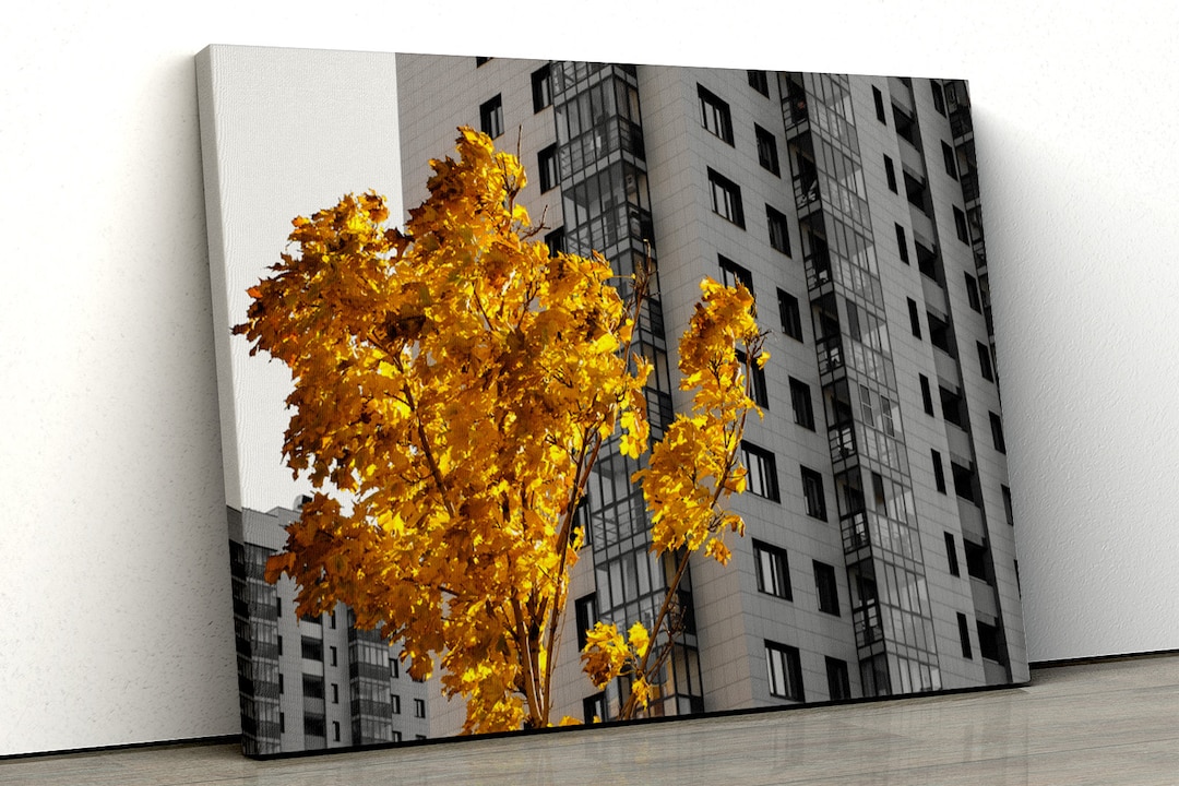 Yellow Tree Black and White City Scene Framed Canvas Print