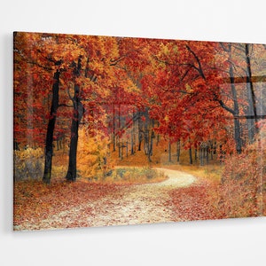 Autumn tree scene warm red orange lounge premium Acrylic glass Print Wall Art canvas gift a77