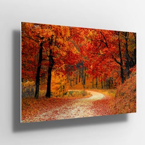 Escena del árbol de otoño cálido rojo naranja bosque naturaleza Metal Cartel de aluminio Impresión pared Arte / lienzo / Metal cartel signo / regalo m77