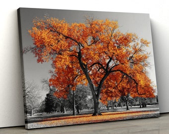 Large Orange tree set in a black and white park Home Decor Nature Framed Canvas Print Wall Art pp380
