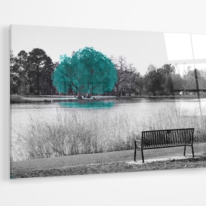 Teal green tree in a black and white park premium Acrylic glass Print Wall Art bedroom decor canvas gift a370