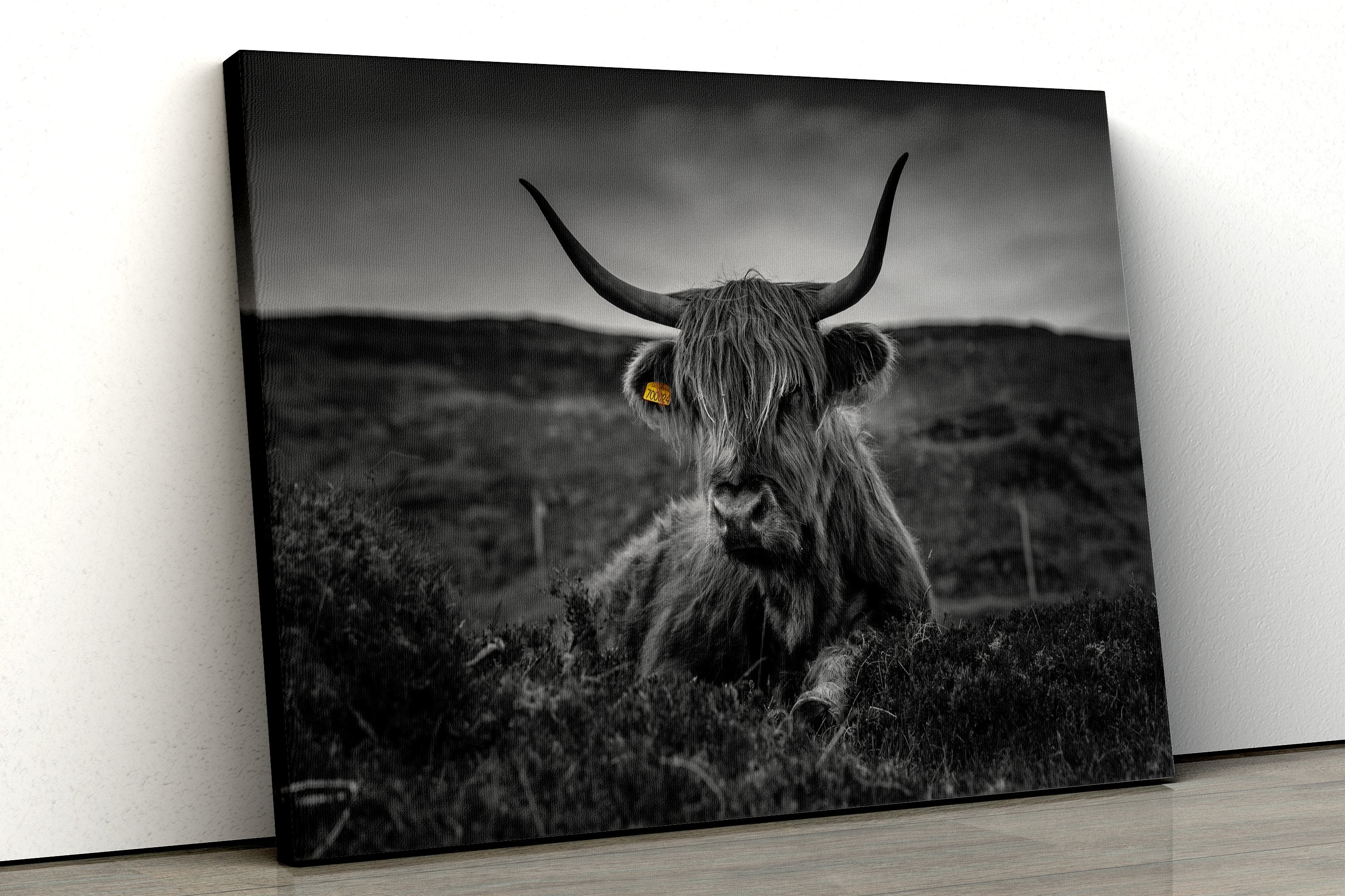 Highland Cow Black and White Framed Canvas Print Wall Art Etsy UK