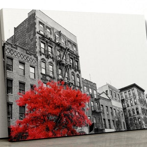 Red tree black and white city buildings scene Framed Canvas Print Wall Art pp191