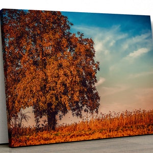 Large Walnut Tree in field Home Decor Framed Canvas nature Print Wall Art 137