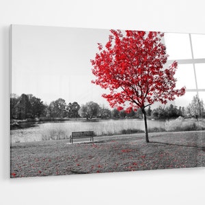 Red tree in a black and white park premium Acrylic glass Print Wall Art canvas gift a107