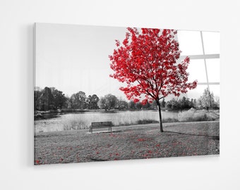 Roter Baum im schwarz-weißen Park Premium Acrylglas Druck Wand Kunst Leinwand Geschenk a107