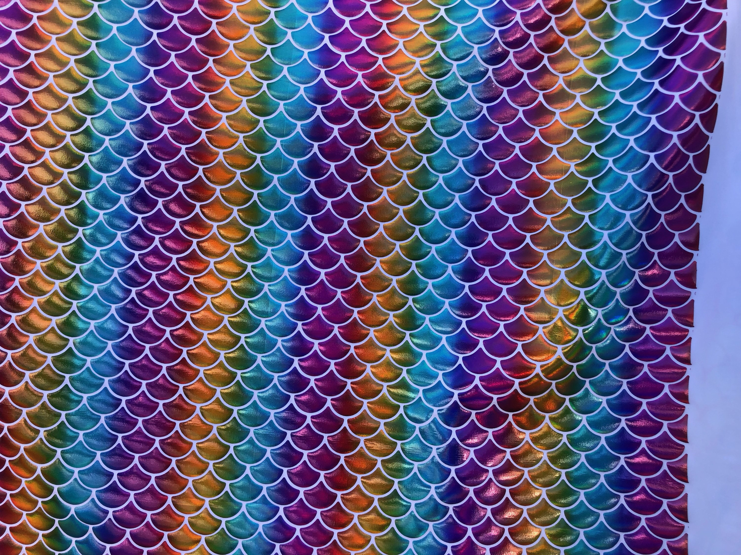 New Rainbow Fish Mermaid Scale Fabric on White Spandex Fabric Etsy