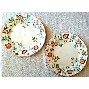 Vintage CHURCHILL BRIAR ROSE 10&quot; Dinner Plates Collectible China England 2 Set