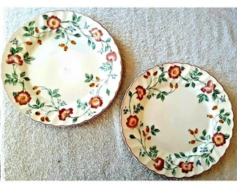 Vintage CHURCHILL BRIAR ROSE 10" Dinner Plates Collectible China England 2 Set