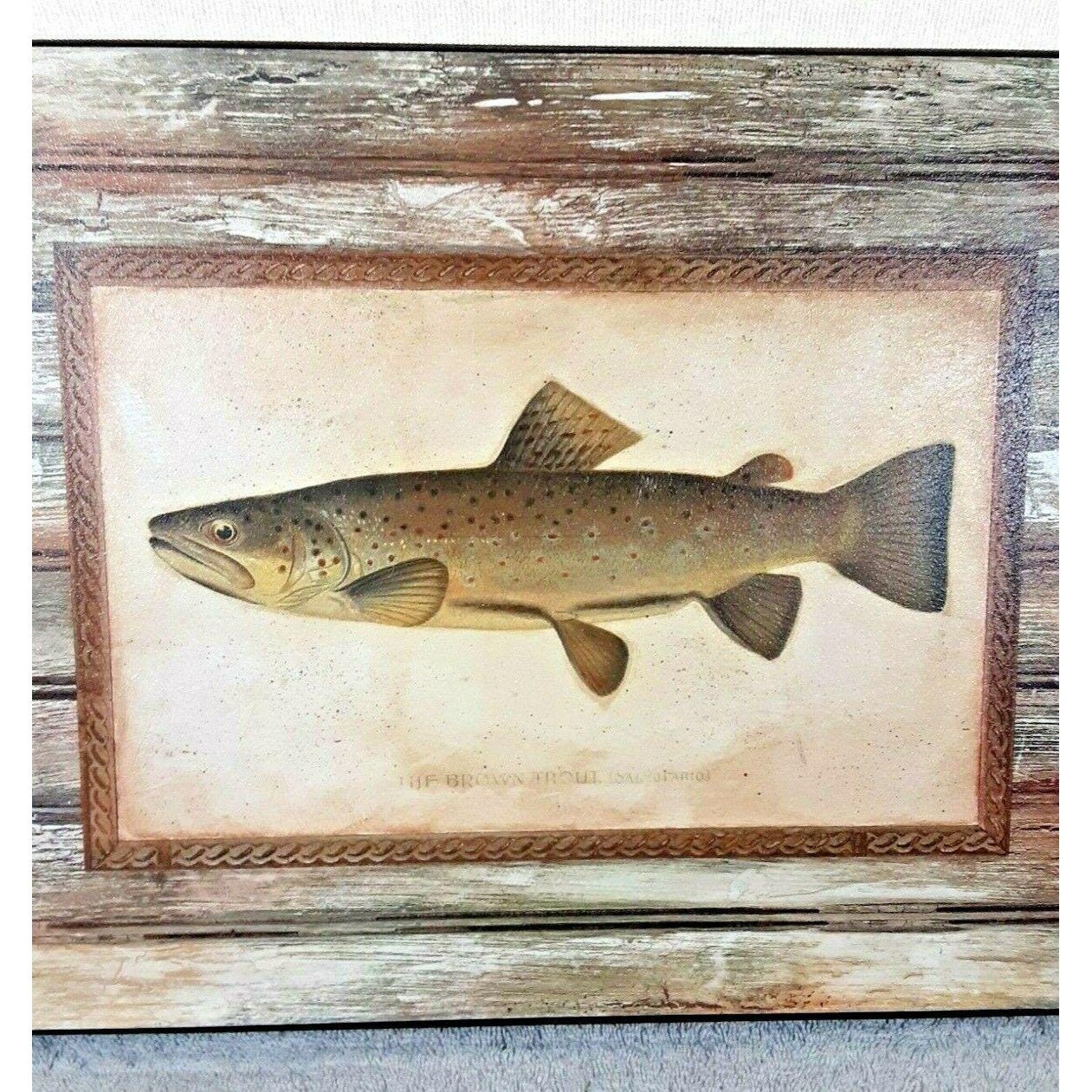 Vintage Brown Trout Canvas Print Unframed Fish Wall Hanging | Etsy