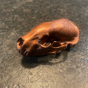 Badger Skull Metalized