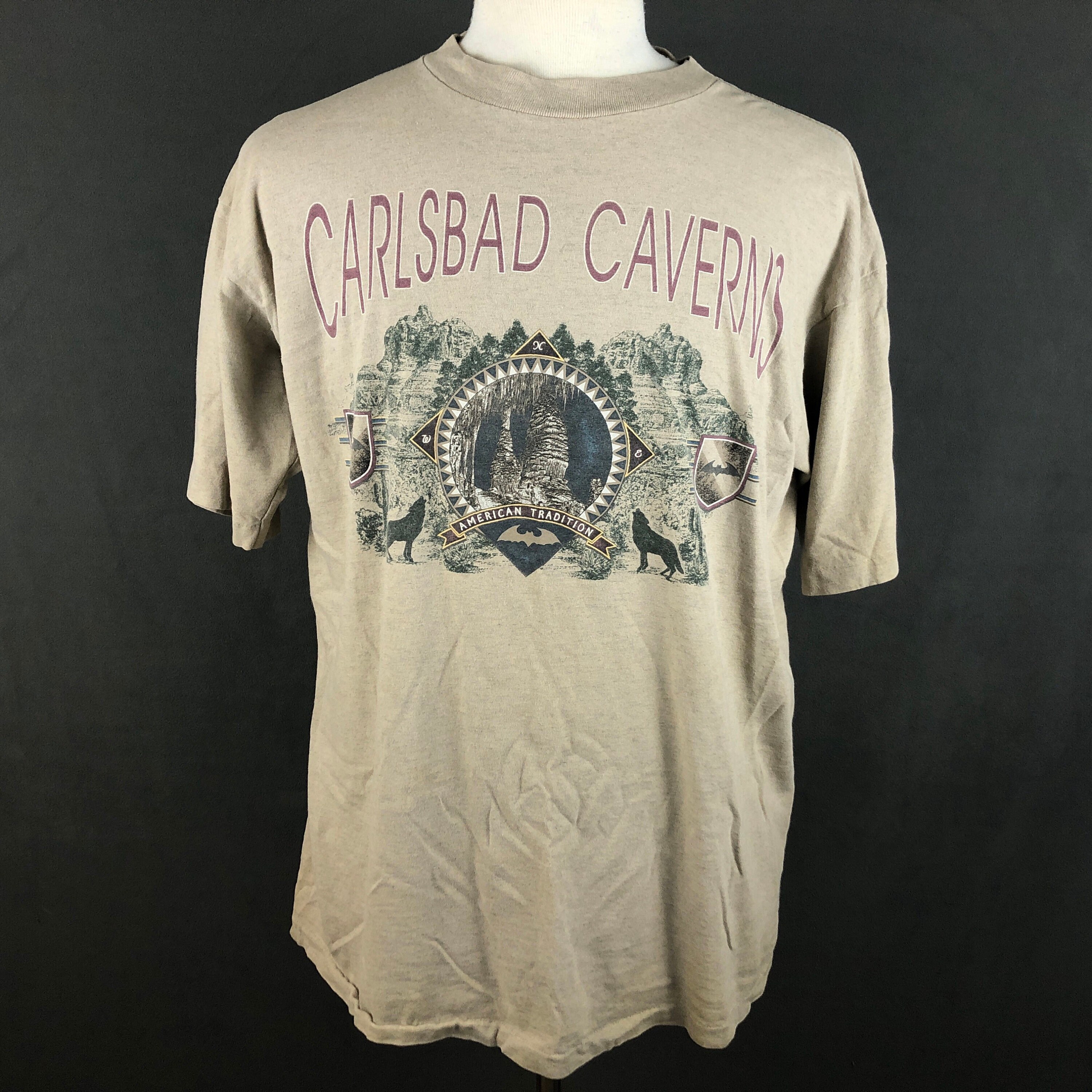 Carlsbad Caverns VTG 90s t-shirt XL single stitch | Etsy