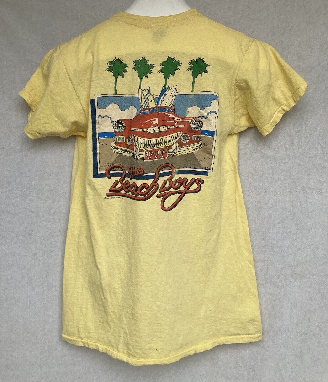 The Beach Boys ビーチボーイズ 80sヴィンテージ Tシャツ
