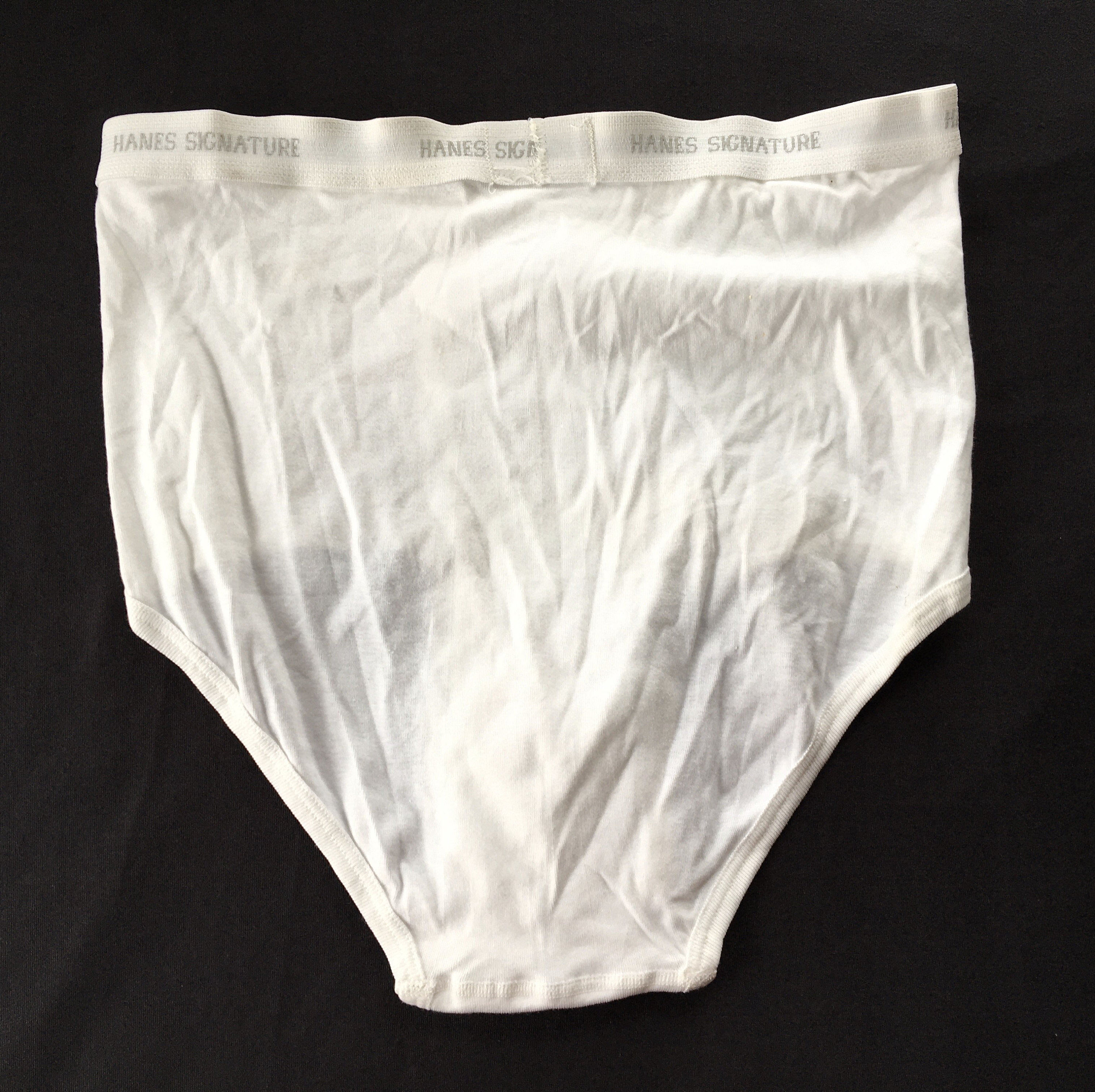 Vintage Hanes Signature Collection Briefs Cotton Underwear Tighty