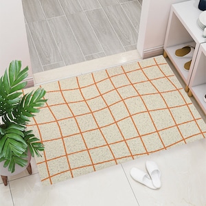 Entryway Doormat Cute Curvy Squared Art Print Coil Mat,Dirt Remove Washable CoilMat,Cat Litter Rubber Backing Mat, Housewarming Gift