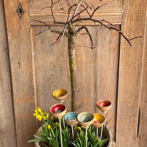 Bienentränke, Insektentränke, Regentropfenfänger, Tränkesteine