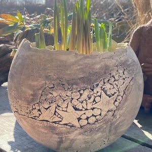 Könnte beinhalten: Ein runder, verwitterter, grauer Keramik-Pflanztopf mit strukturierter Oberfläche und sternförmigen Aussparungen. Der Pflanztopf ist mit grünen Pflanzentrieben gefüllt. Der Pflanztopf steht auf einer Holzoberfläche mit verschwommenem Hintergrund aus Grün.