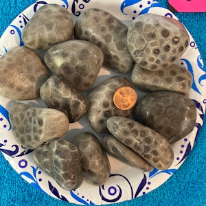 2 LBS Petoskey Stones-Lot HIJ-Shipping Included