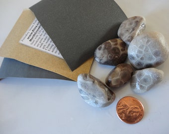 Petoskey Stone DYI Polishing Kit - Includes Shipping