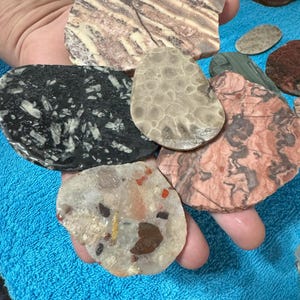 May include: A collection of various polished stones, showcasing diverse colors and patterns. The stones include a black and white speckled piece, a beige stone with a honeycomb-like texture, and a pink and red patterned stone. The assortment is held in a hand.