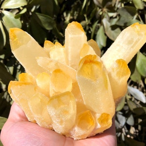 Angel Aura Quartz Himalaya Clear Abundance Quartz Cluster/White Abundance Quartz Cluster/Healing Crystal/Reiki/Meditation/self stand