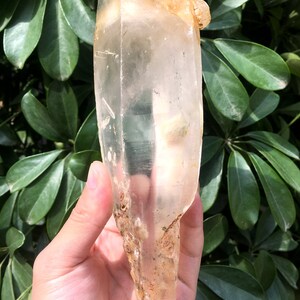 Peut inclure: Un grand cristal de quartz clair avec une texture naturelle, brute et rugueuse. Le cristal est de couleur brun clair et a une pointe pointue. Le cristal est tenu dans une main.
