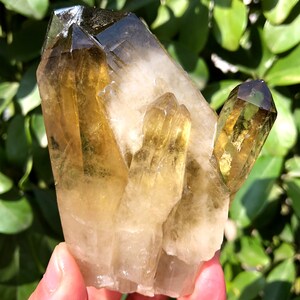 Large Raw White crystal + yellow Crystal Cluster/Black Quartz Cluster/Quartz Cluster/Black Abundance Crystal /Reiki/Meditation/self stand