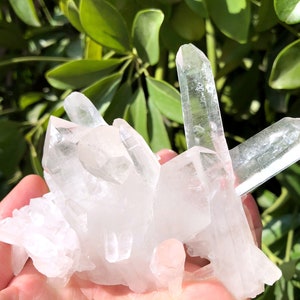 Peut inclure: Un amas de cristaux de quartz transparents de différentes tailles et formes. Les cristaux sont disposés de manière naturelle et organique, certains pointant vers le haut et d'autres vers le bas. Les cristaux sont translucides et ont un léger éclat.