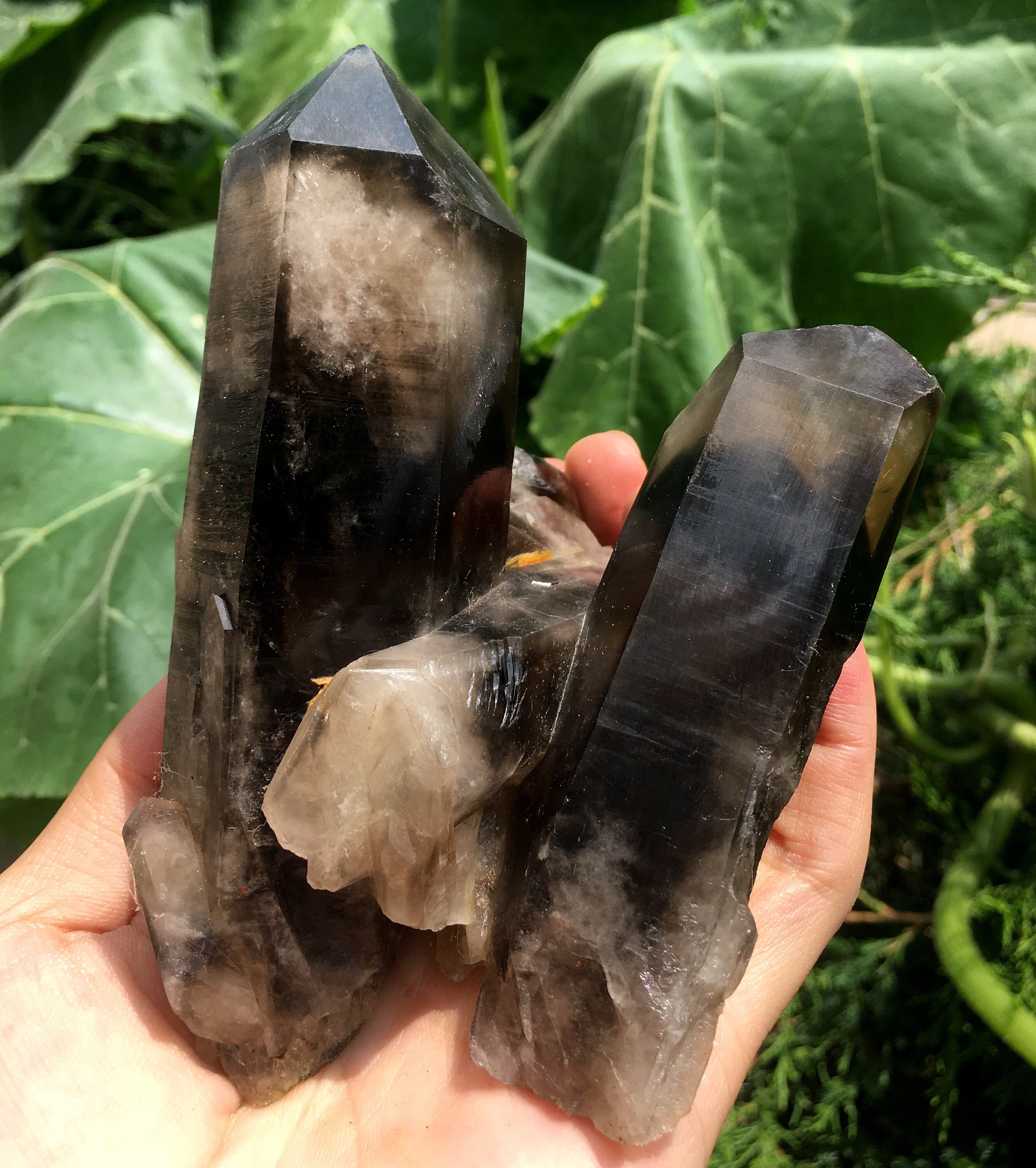 Top Large Raw Black Crystal Cluster/Black Quartz Cluster/Quartz Cluster/Rough Black Abundance Plate/Healing Crystal/Energy