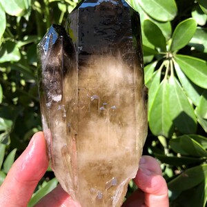 Top Large Raw black +yellow Crystal Cluster/Black Quartz Cluster/Quartz Cluster/Rough Black Abundance Crystal Plate/Healing Crystal/Energy