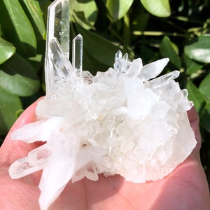Peut inclure: Un amas de cristaux de quartz transparents de différentes tailles et formes. Les cristaux sont disposés de manière naturelle, certains pointant vers le haut et d'autres vers le bas. Les cristaux sont translucides et ont un léger éclat.