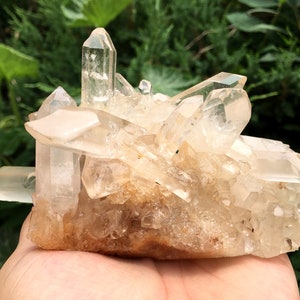 Peut inclure: Un amas de cristaux de quartz transparents sur une base brune et rugueuse. Les cristaux sont pointus et ont une apparence translucide.