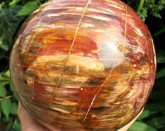 Stand Asian Rare Natural Quartz Magic Crystal Healing Ball Sphere 60-100mm 