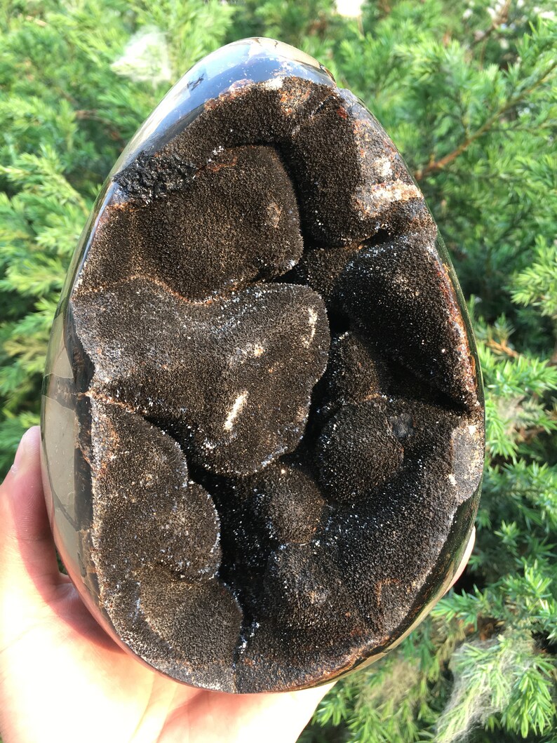 Natural with Black Calcite CrystalsEgg septariumMineral Specimen DisplayLucky StoneMeditation stoneValentine/'s Day presentEnergy stone