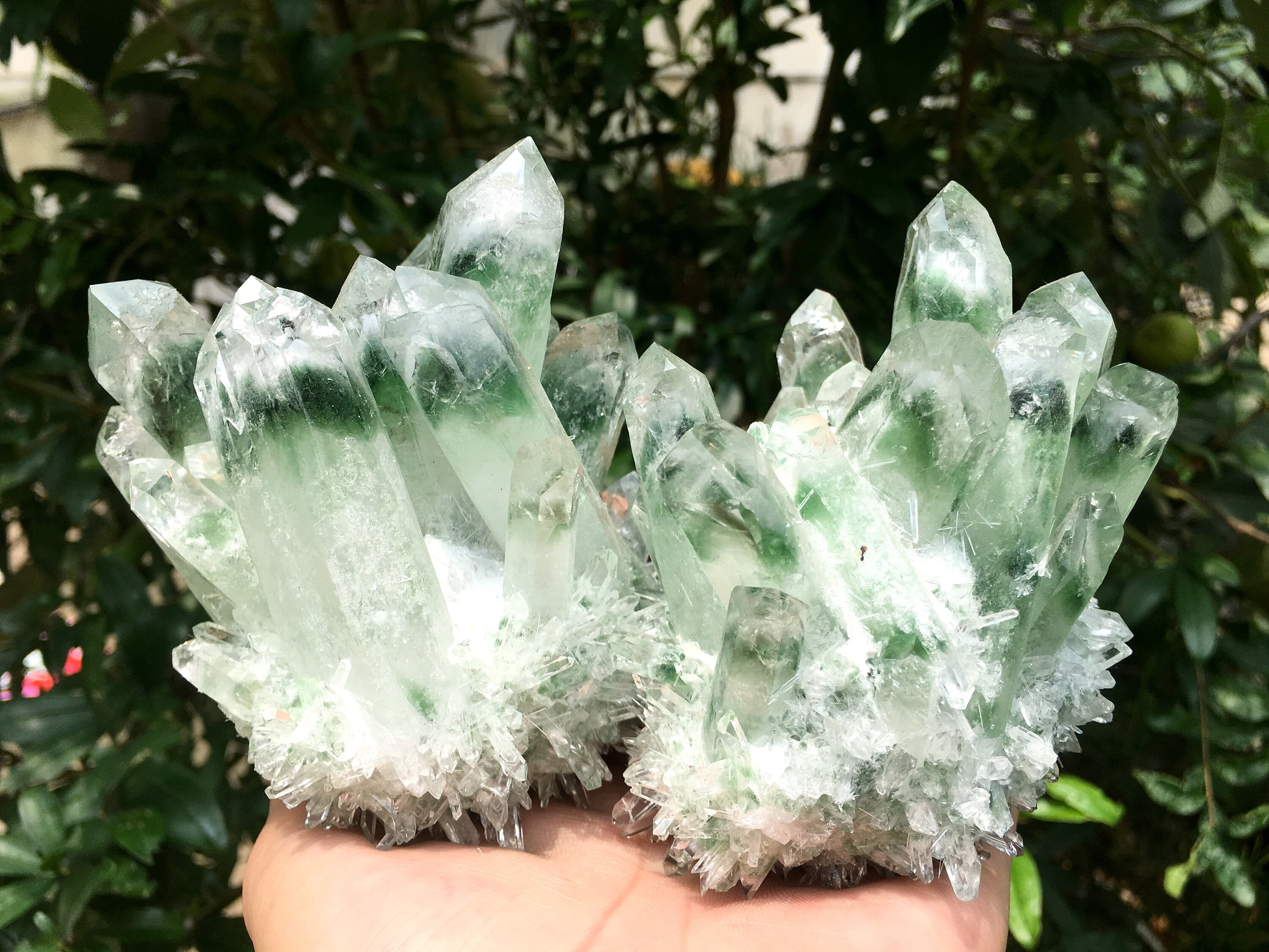 Green Cactus Quartz Cluster/Stunning Clear Points With Phantom Inclusions/Angel Aura Crystal Cluster/Reiki/Meditation/Self Stand