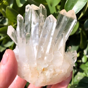 Peut inclure: Une grappe de cristaux de quartz transparents avec une base blanche. Les cristaux sont pointus et ont un aspect naturel et brut.