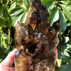 Top Large Raw black +yellow Crystal Cluster/Black Quartz Cluster/Quartz Cluster/Rough Black Abundance Crystal Plate/Healing Crystal/Energy