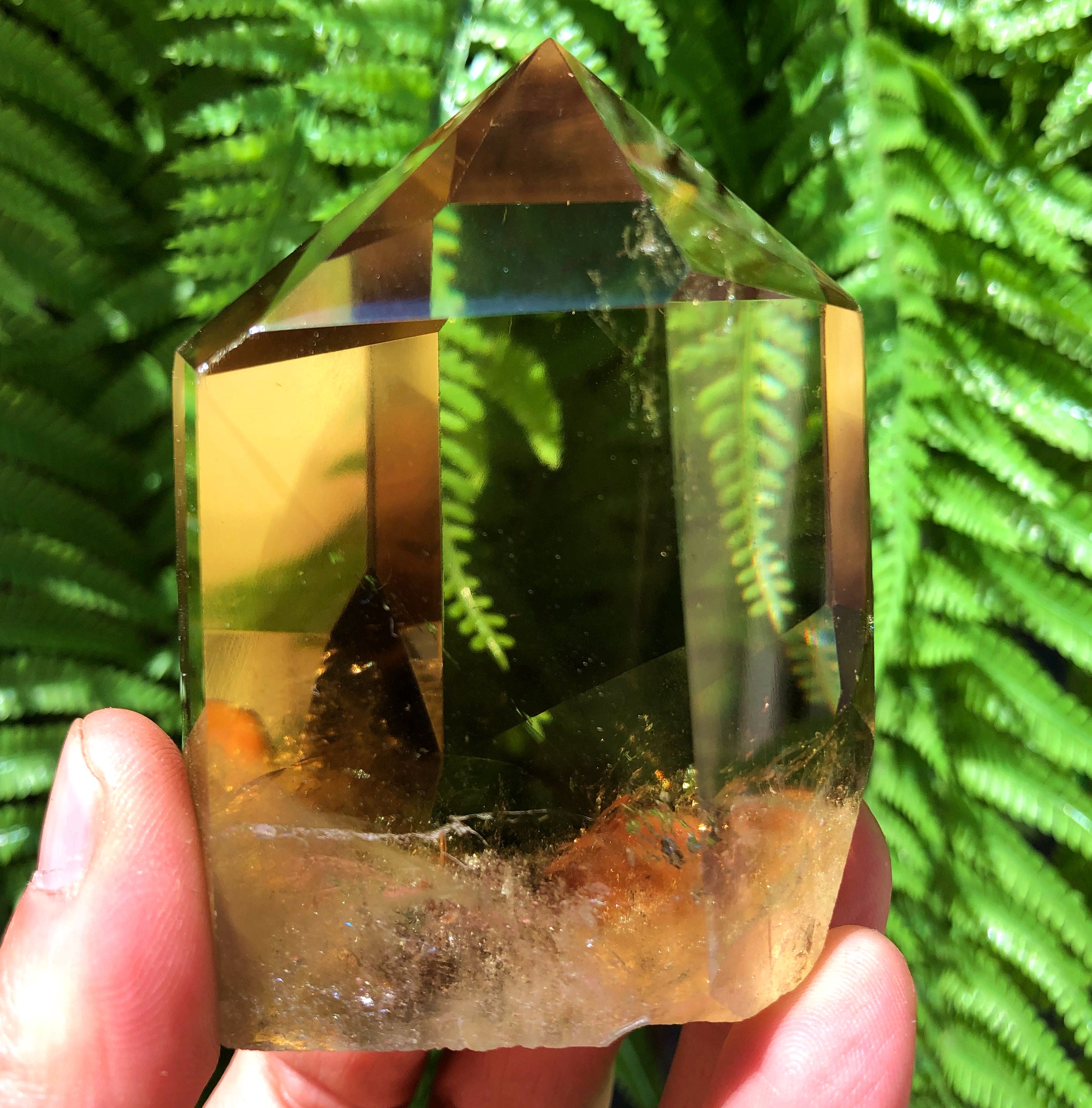 Natural Large Transparent Headed Yellow Citrine Crystal Quartz Etsy