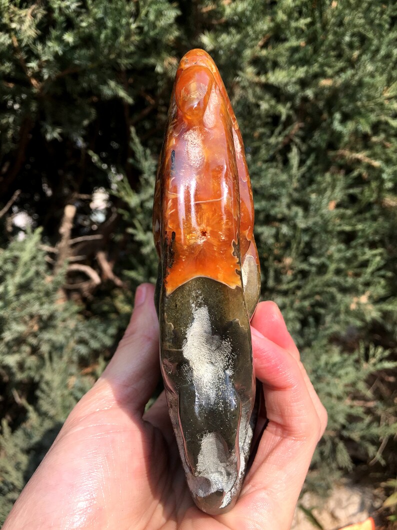 Fine polishing Ammonite Can stand upWhole Ammonite FossilAuthentic Ammonite FossilPrehistoric FossilNautilus ShellHealing fossilgift