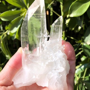 Peut inclure: Une grande grappe de cristal de quartz clair avec plusieurs pointes. Le cristal est translucide et a une apparence naturelle et brute.