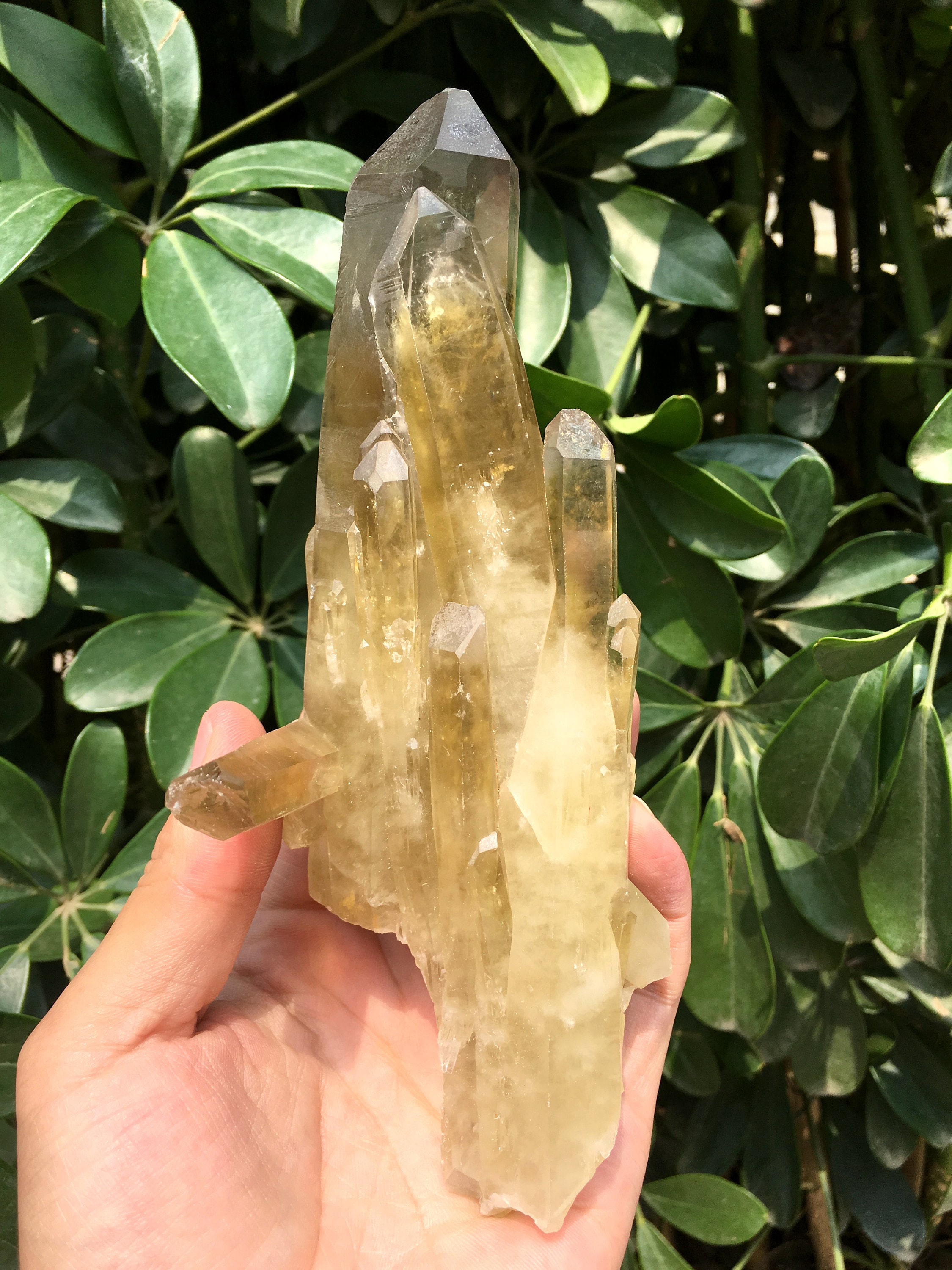 Top Large Raw Yellow Crystal Cluster/yellow Quartz Etsy