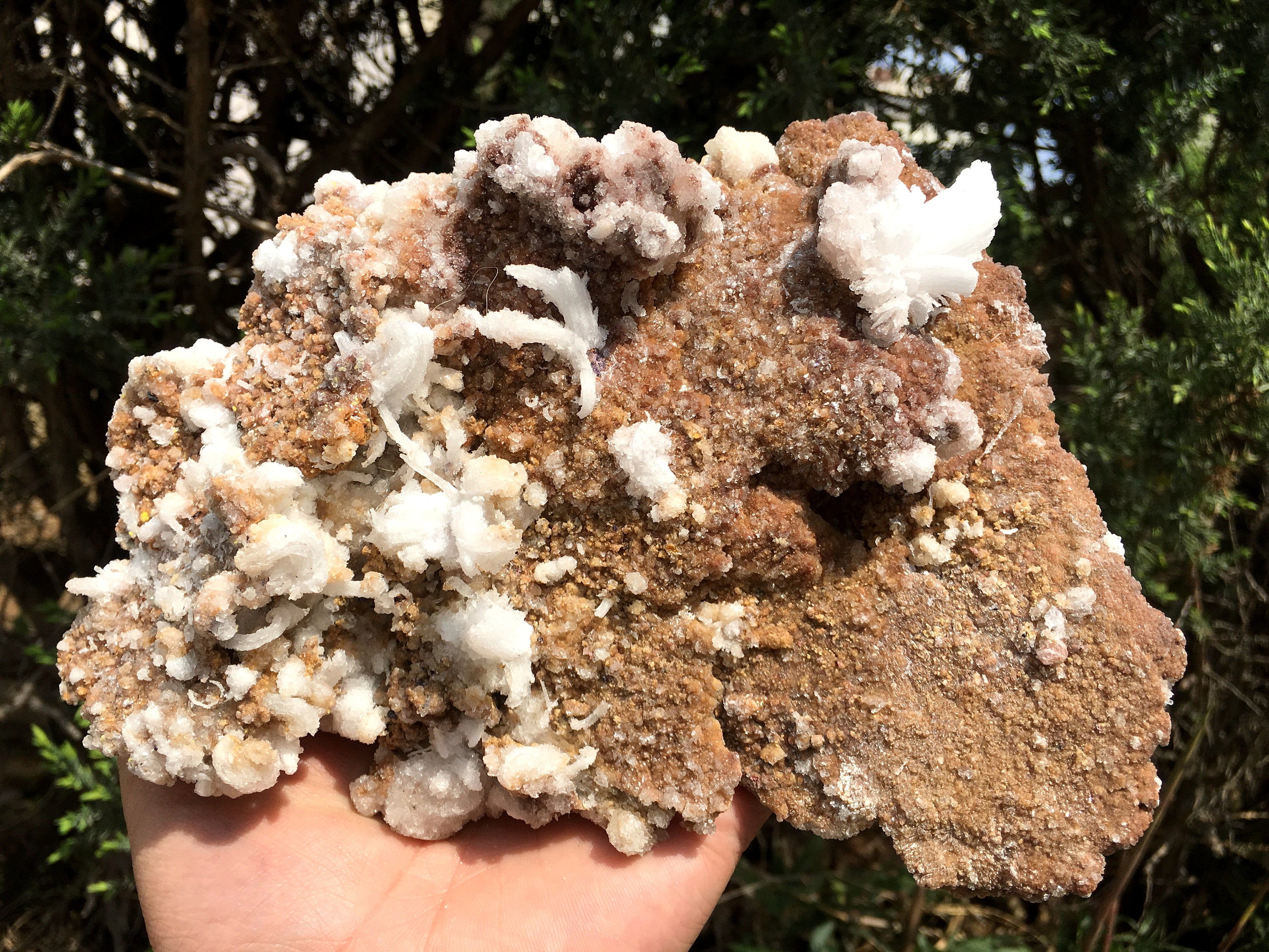 Natural Large Gypsum Selenite On Matrix/Gypsum Cluster/Gypsum Specimen/Selenite Crystal/Healing Stone/Reiki/Chakra/Meditation/1283G#s4