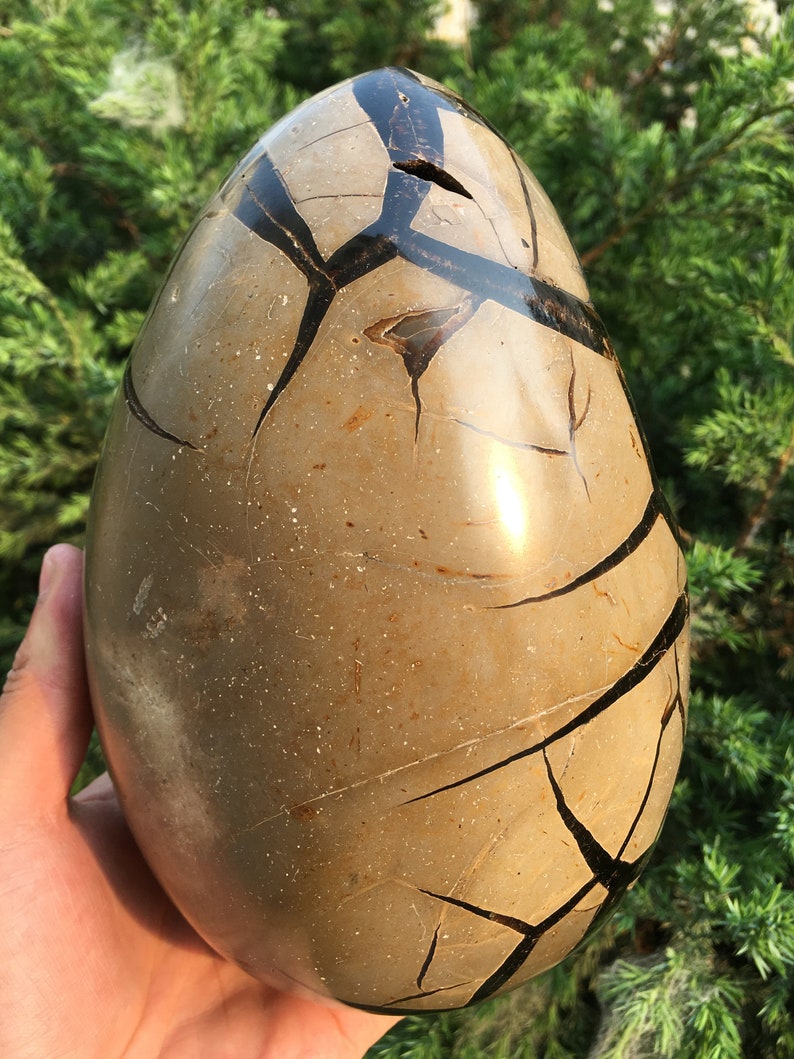 Natural with Black Calcite CrystalsEgg septariumMineral Specimen DisplayLucky StoneMeditation stoneValentine/'s Day presentEnergy stone