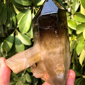 Large Raw White crystal + yellow Crystal Cluster/Black Quartz Cluster/Quartz Cluster/Black Abundance Crystal /Reiki/Meditation/self stand