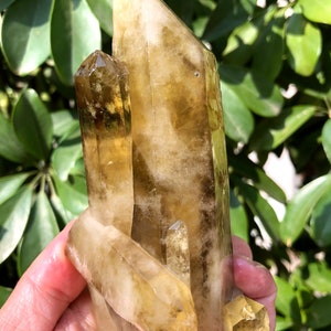 Large Raw White crystal + yellow Crystal Cluster/Black Quartz Cluster/Quartz Cluster/Black Abundance Crystal /Reiki/Meditation/self stand