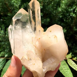 Peut inclure: Un grand amas de cristaux de quartz transparents avec une teinte rose. Les cristaux sont disposés en amas avec plusieurs pointes.